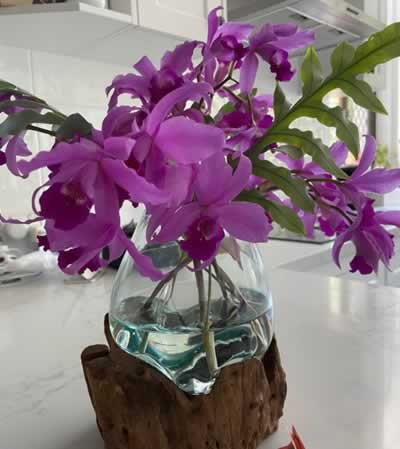 purple flower in the glass vase